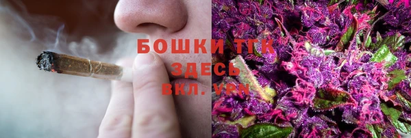 ГАЛЛЮЦИНОГЕННЫЕ ГРИБЫ Ладушкин